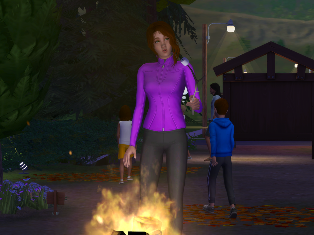 Sims2-EP9-RPC-2024-06-27-21-29-56-28