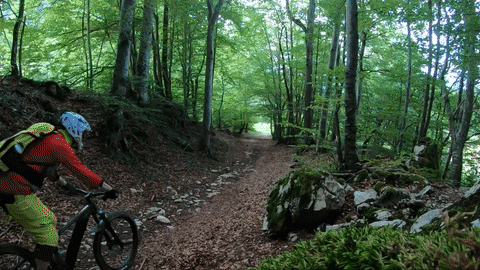 https://i.postimg.cc/MKPTm60M/ezgif-com-video-to-gif-1.gif