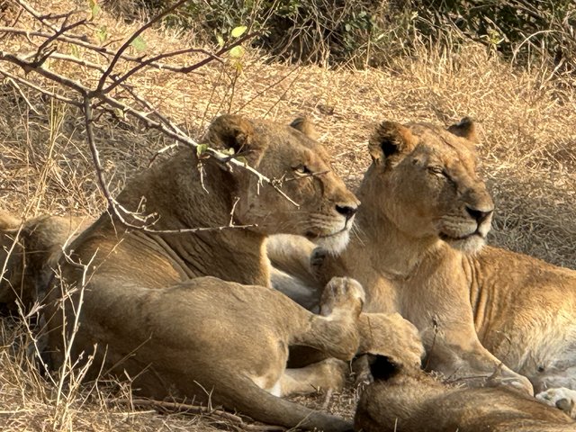 [Linked Image from i.postimg.cc]