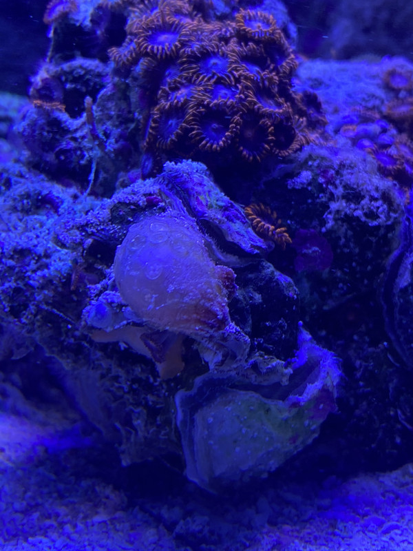 519C4295-E68F-40EB-B52D-42297AE8D9FB