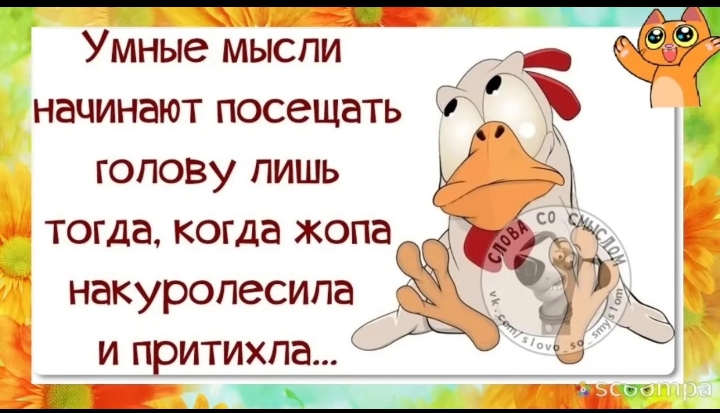 Screenshot-20240703-002506.jpg