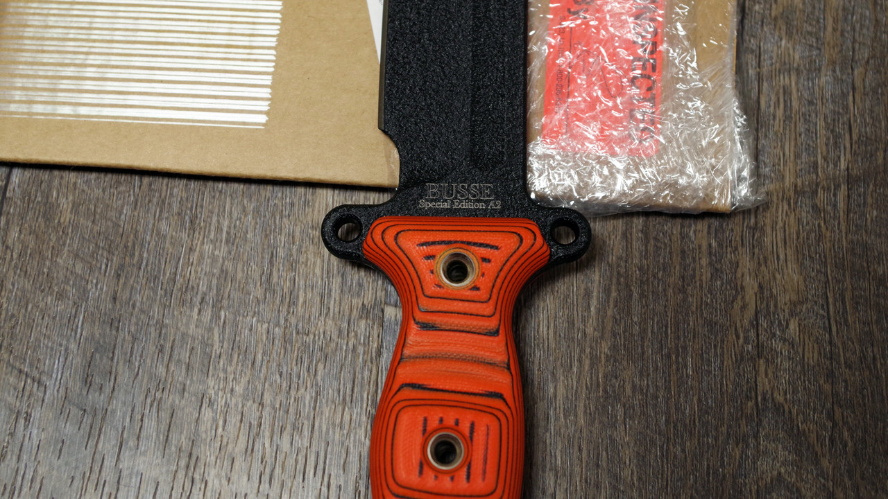 BusseTGA2OrangeLogo1