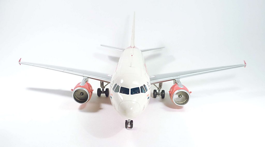 A319 Air India [Revell] 1/144 P1080675