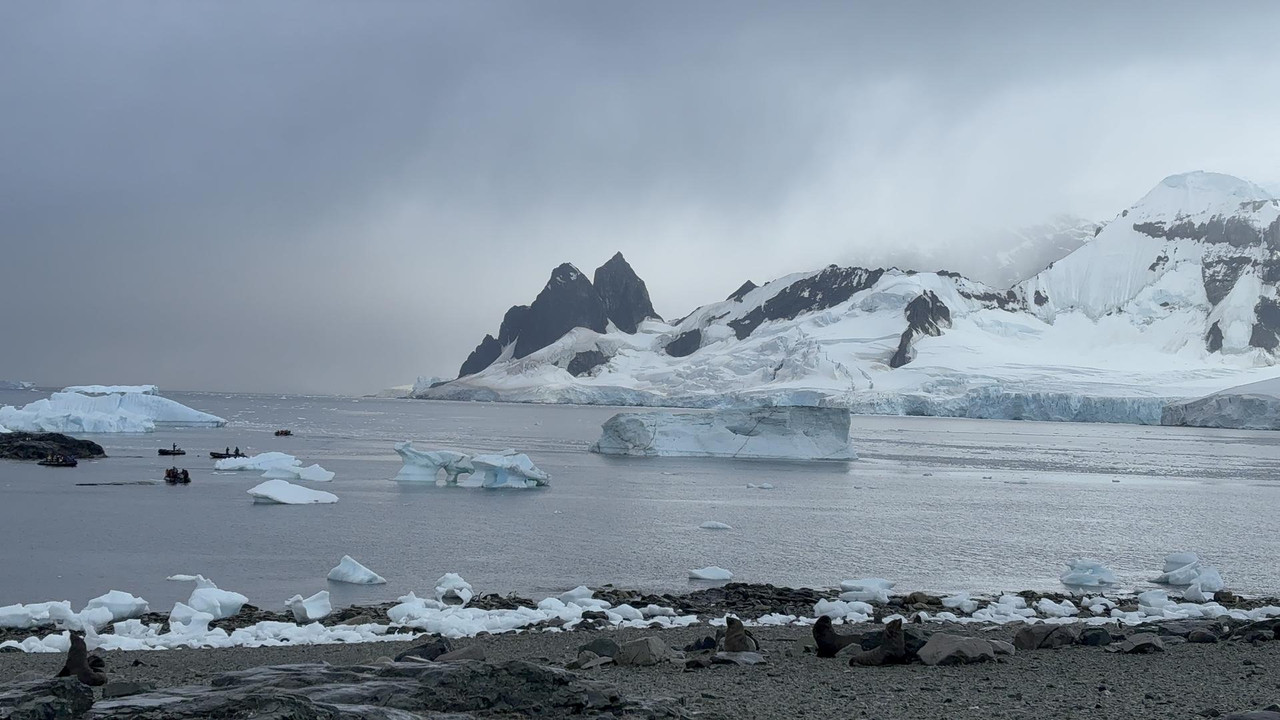 Día 4. Amanecer en la Antártida. Danco Island - Antártida: Rumbo al Continente Blanco (5)