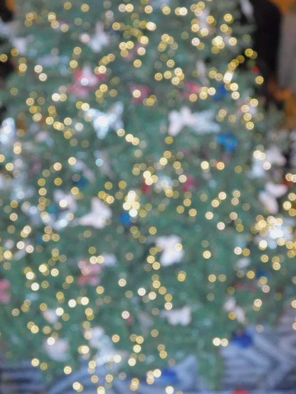 Выставка в музее Революции Кринолин и пр 197