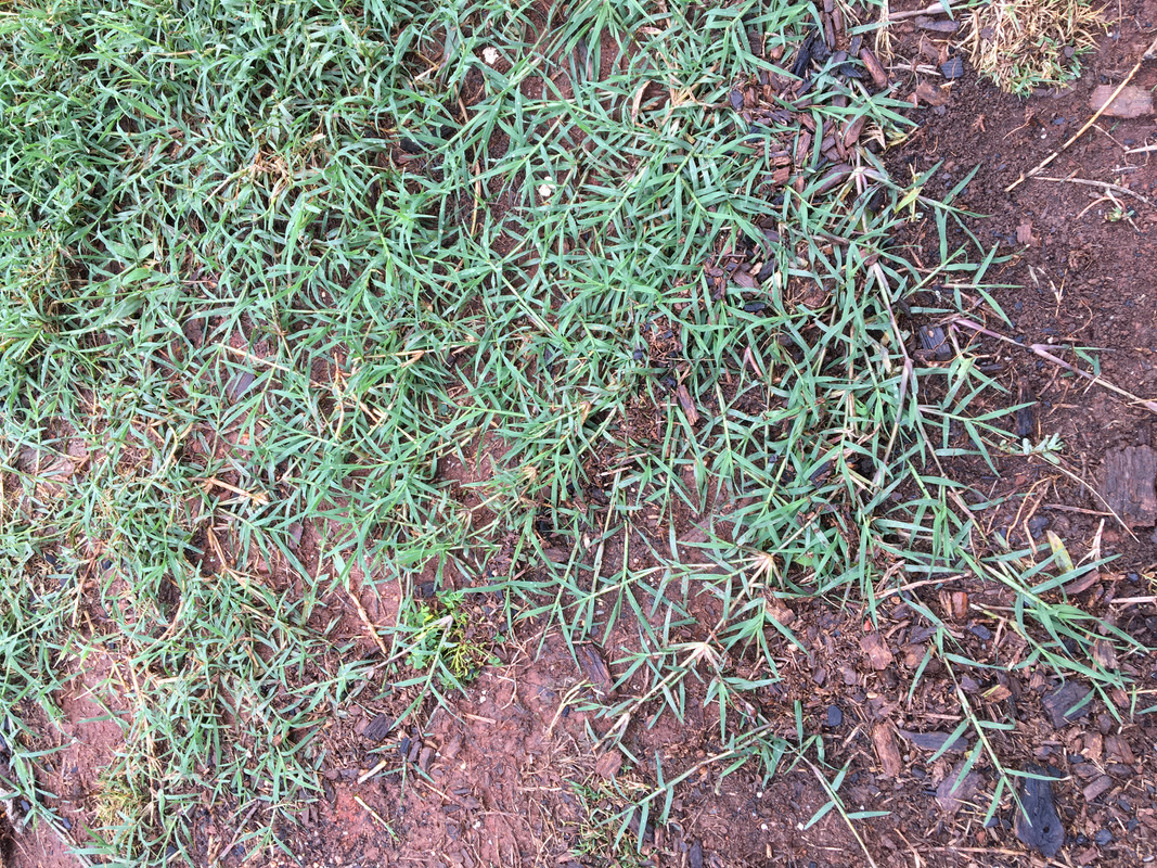 C7BE2FE0-4C52-47DF-BF6D-2616FCC4BBE2