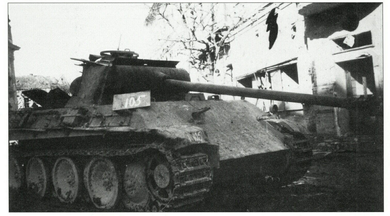 Пантера.√105