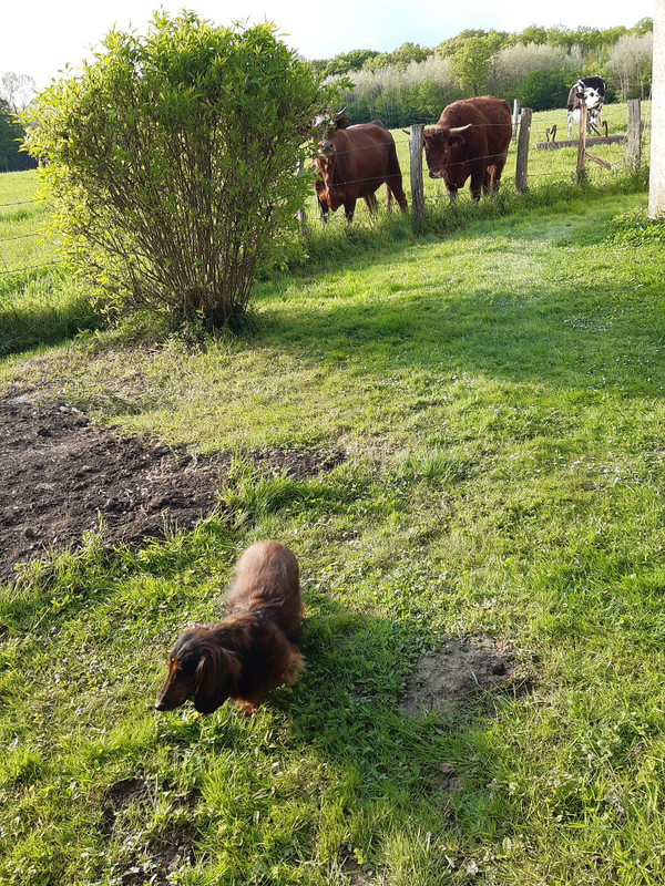 [Image: 20220424-182903.jpg]