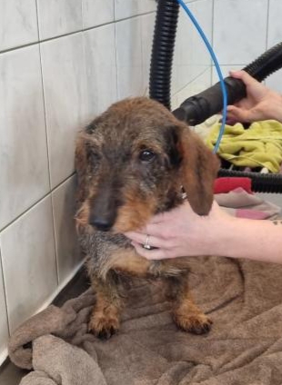 [Image: 20221029-075639.jpg]