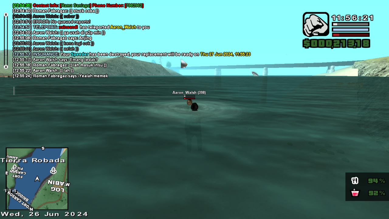 samp-26-06-2024-12-56-11.png