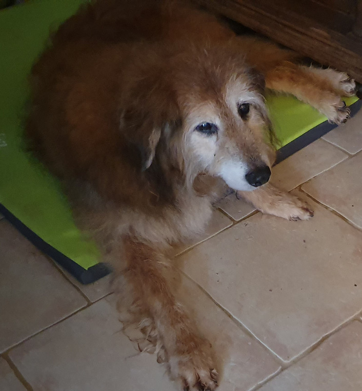 [Image: 20221020-073859.jpg]