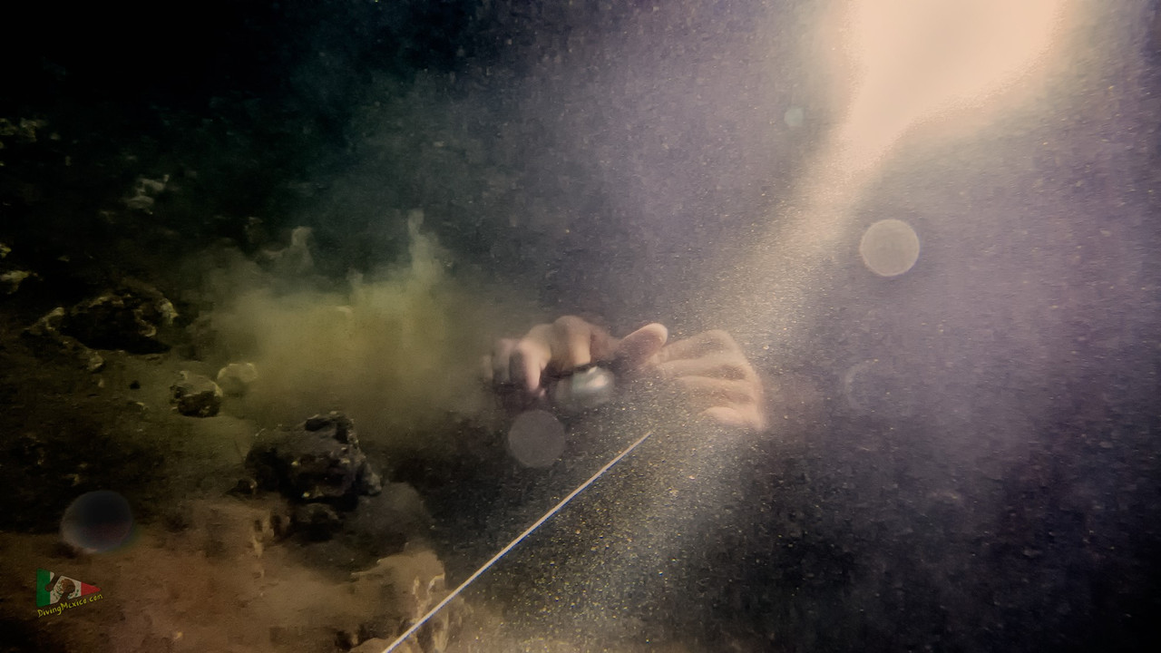 490485157 3898189887109368 6321223082144205925 n