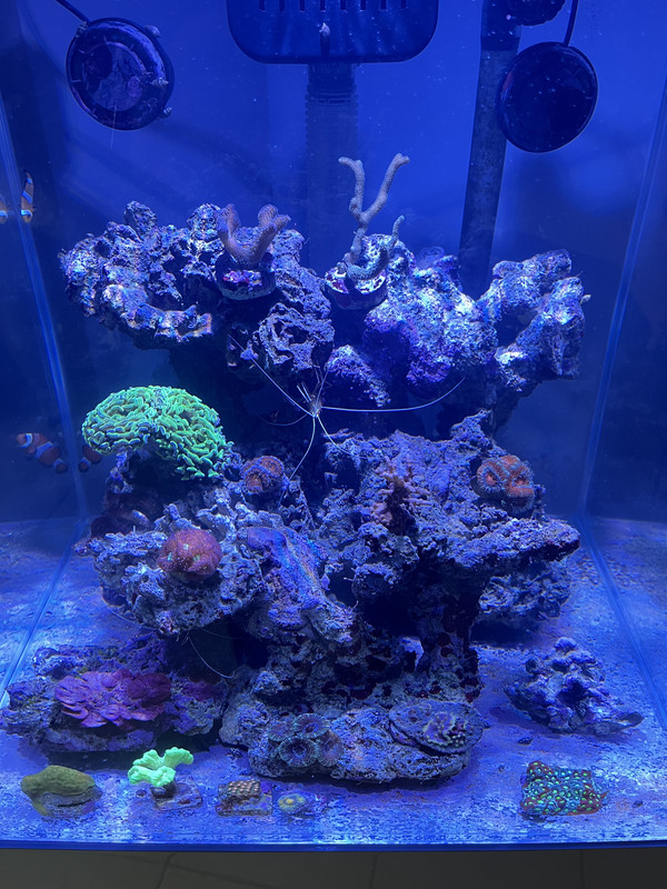 DEE3B986-38CF-41EB-8122-225B60A31C5F