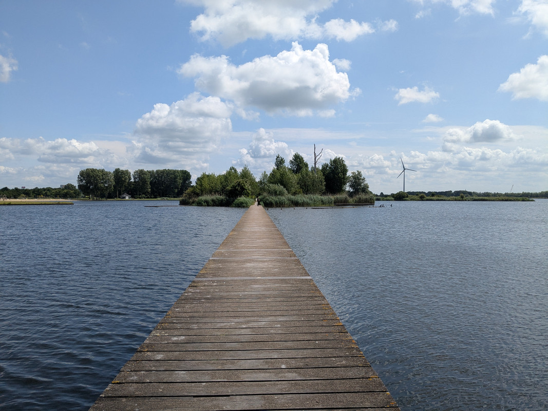 Трое в Амстердаме, не считая собаки. Переезд в Нидерланды.