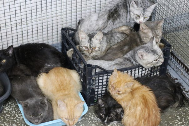 1AC7C5D1-31A9-444E-BB2C-516B2734F899