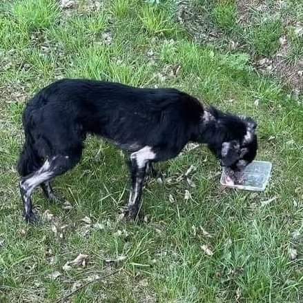 FB_IMG_1715375685561