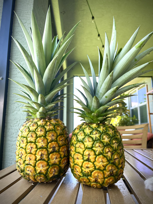 FD98A38C-3B22-48E2-840C-4FA6948E99AB