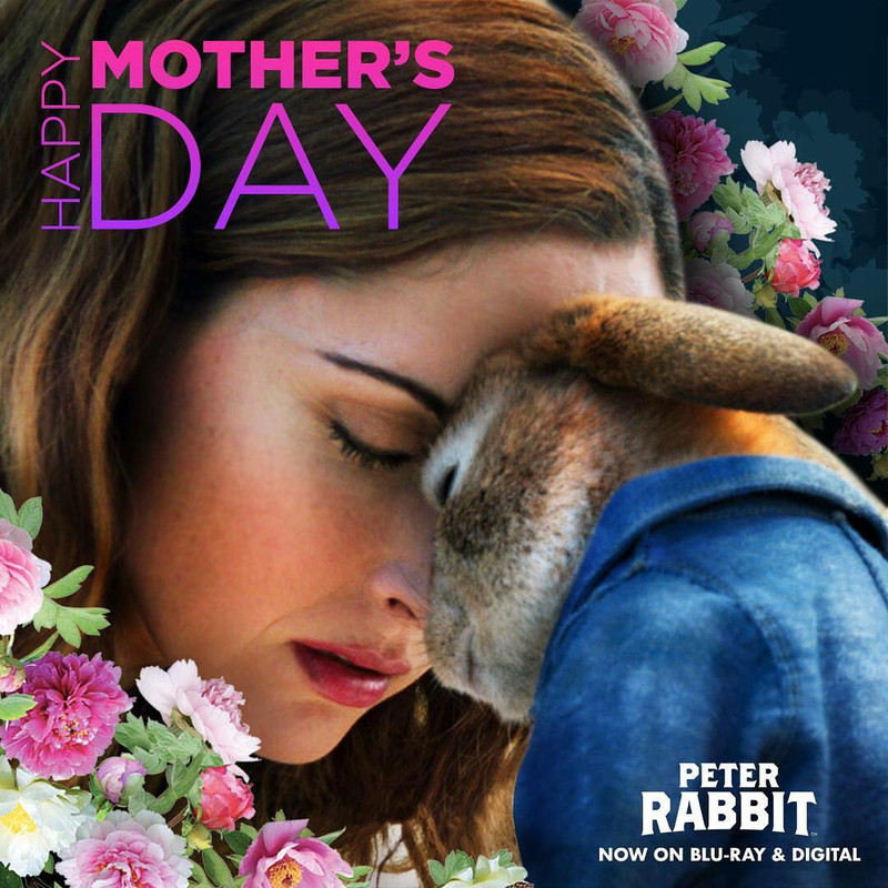 Instagram@peterrabbitmovie