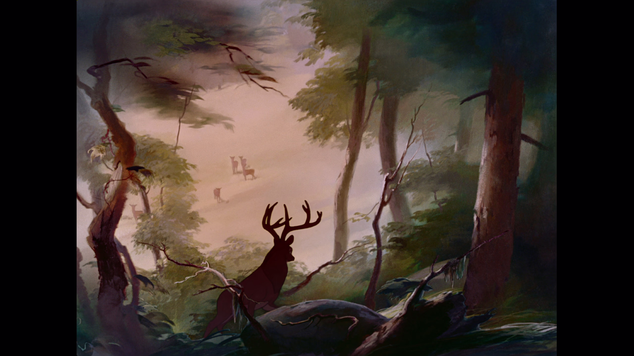 Movie cover image
