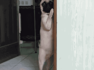 anigif-enhanced-4837-1415837328-1.gif