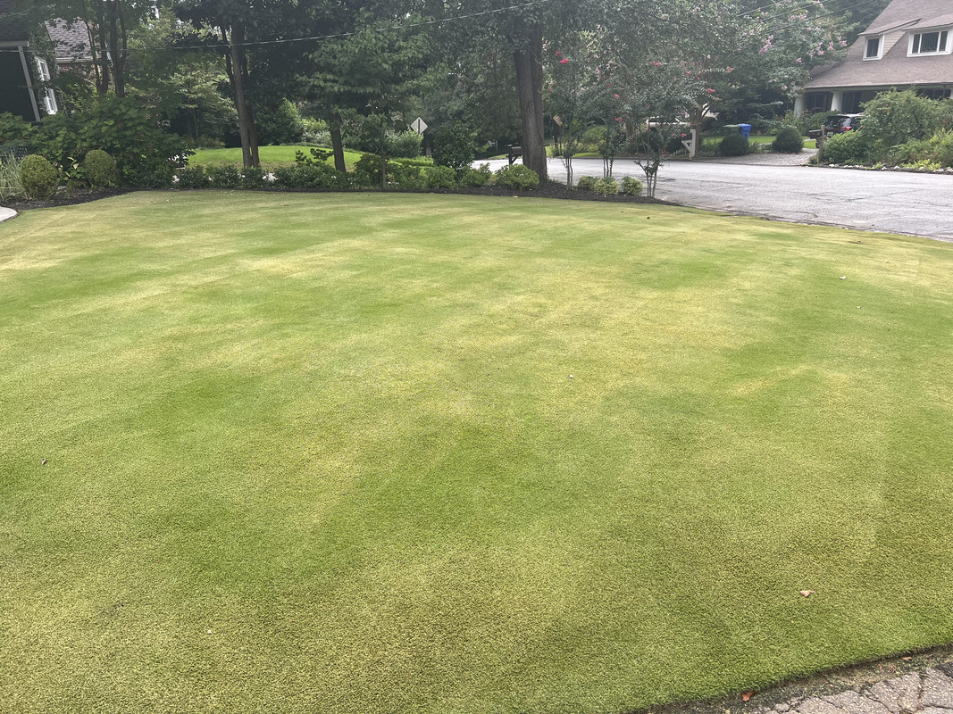 ECA3B8FD-EC90-4B78-87F3-F6B4179C5793