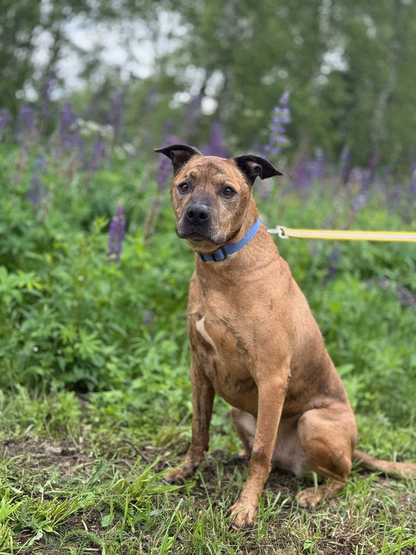 WhatsApp Image 2025-06-20 at 00.21.23 (2)