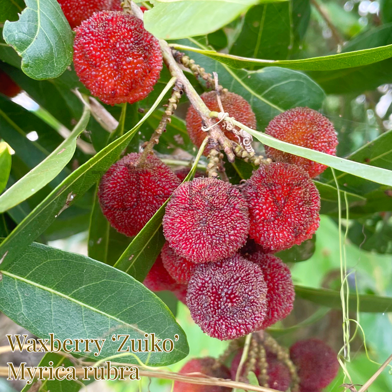 F3D456A3-7D64-4609-9E80-B9B195EE0B68