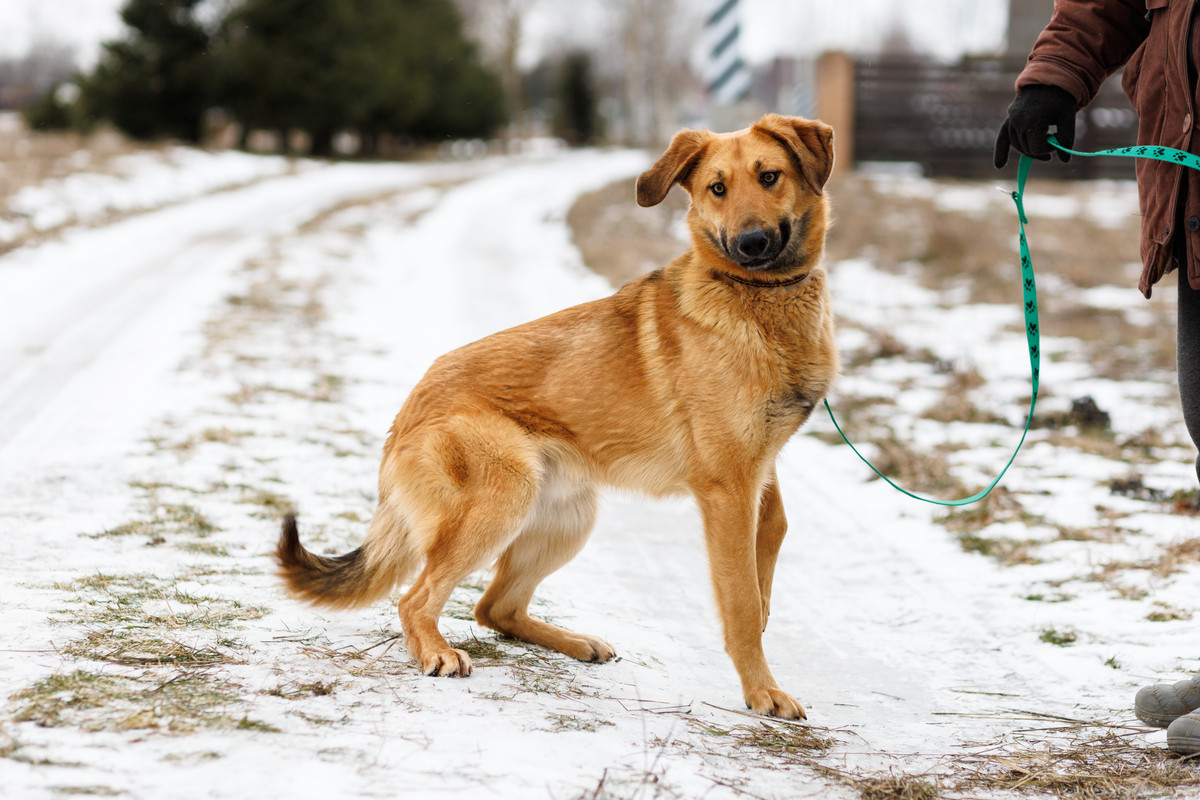 RRDaPGIDaq6DTzmuK1VD5NPEU77akadmA4fiMPcBa_IWba3NuTqvNSbs2phF6HlbRXgIZUg9jn6jgrkbNcs9Yg==?uid=0&filen