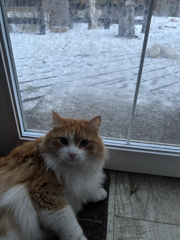 1F11FA2B-6D4F-4F04-B433-E03D4624C849