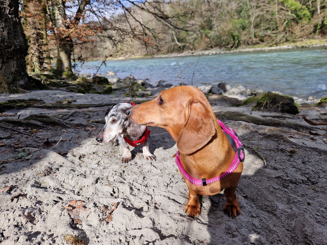 [Image: pilou-et-nella-arve-2.jpg]