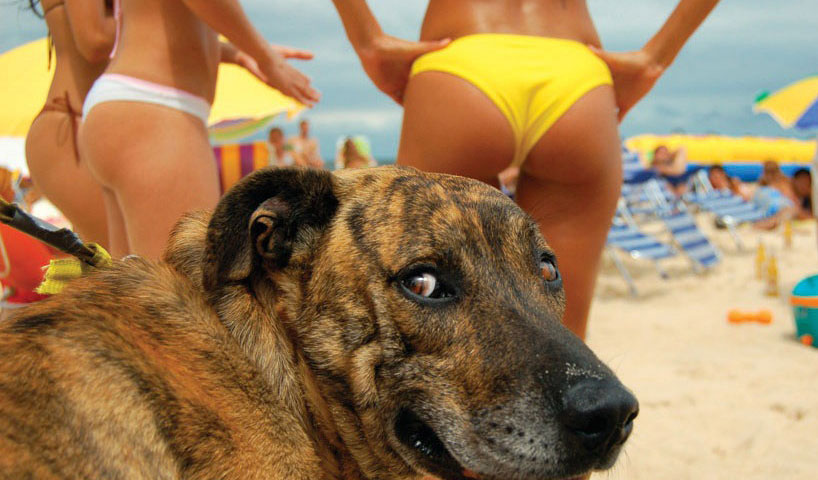 2020-02-11-mixnews-funny-pictures-main.j