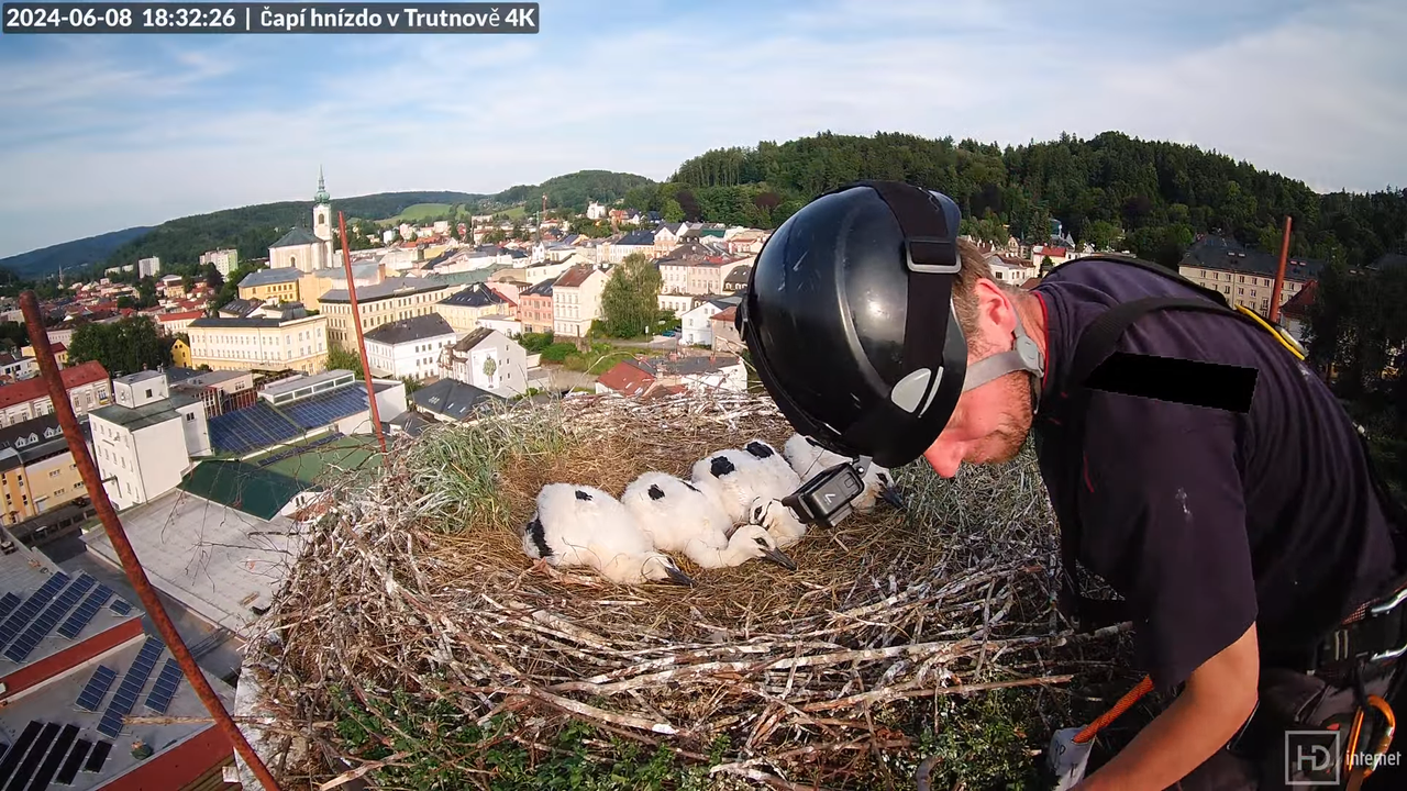 Tiešraidē no stārķa ligzdas uz alus darītavas skursteņa Trutnovā 16-0-27 screenshot