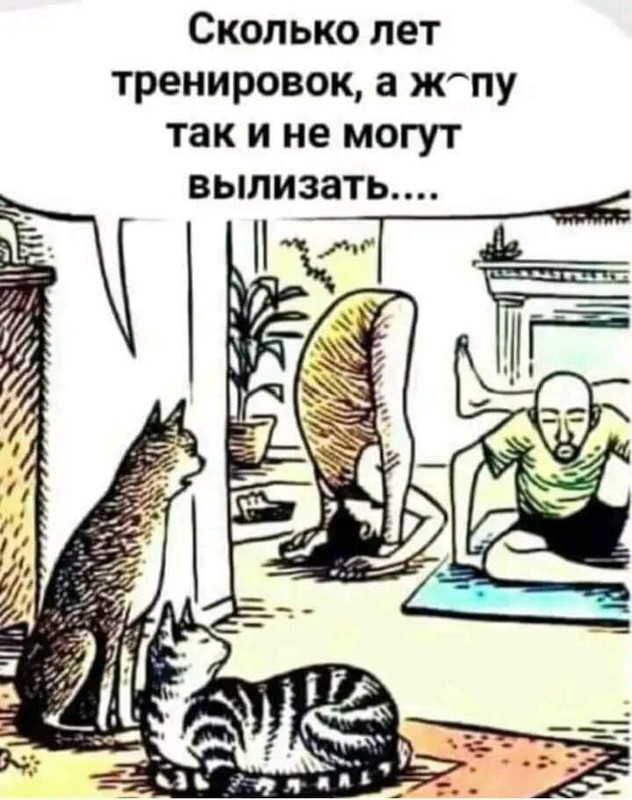 up49569-FB_IMG_1701280512784