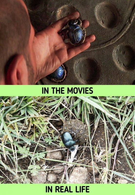 movies-10