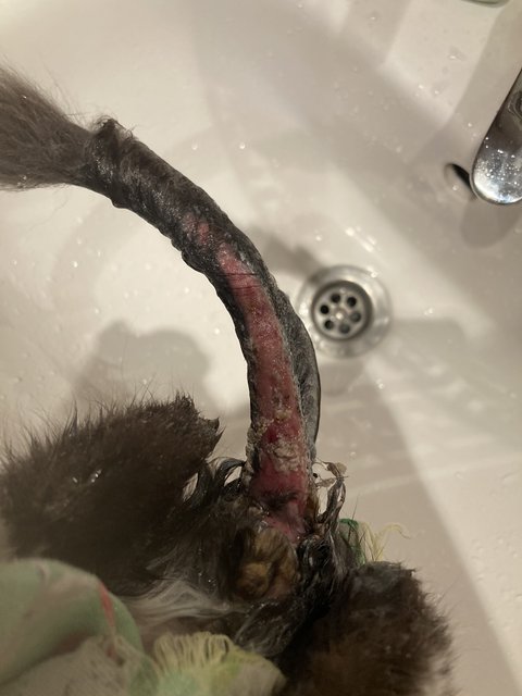 8347DF11-2ED1-4BA0-BC0D-63FDB0D9F9CE