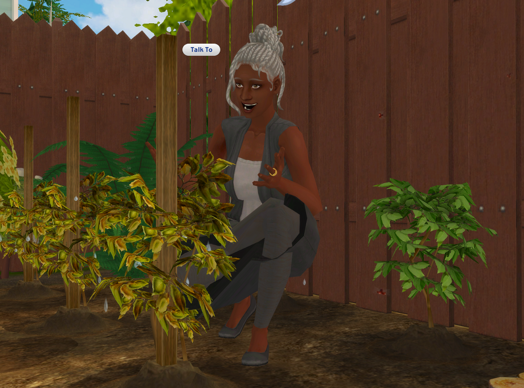 ksnip-20250913-211711