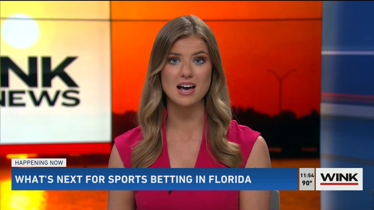 07.09 - 16.30.00 - WINK NEWS at 11 30am. Midday news..ts_snapshot_31.06.612