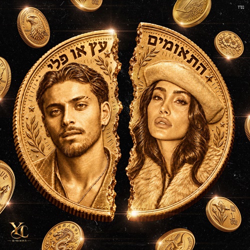 תמונה