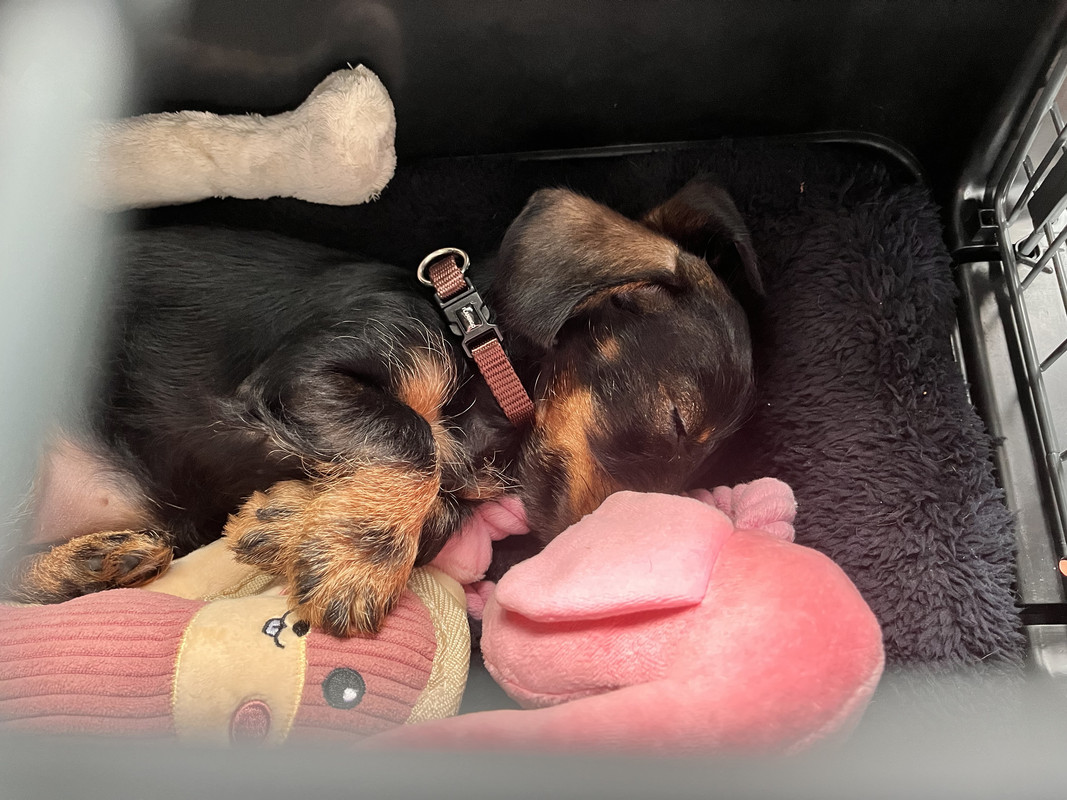 [Image: IMG-1648.jpg]