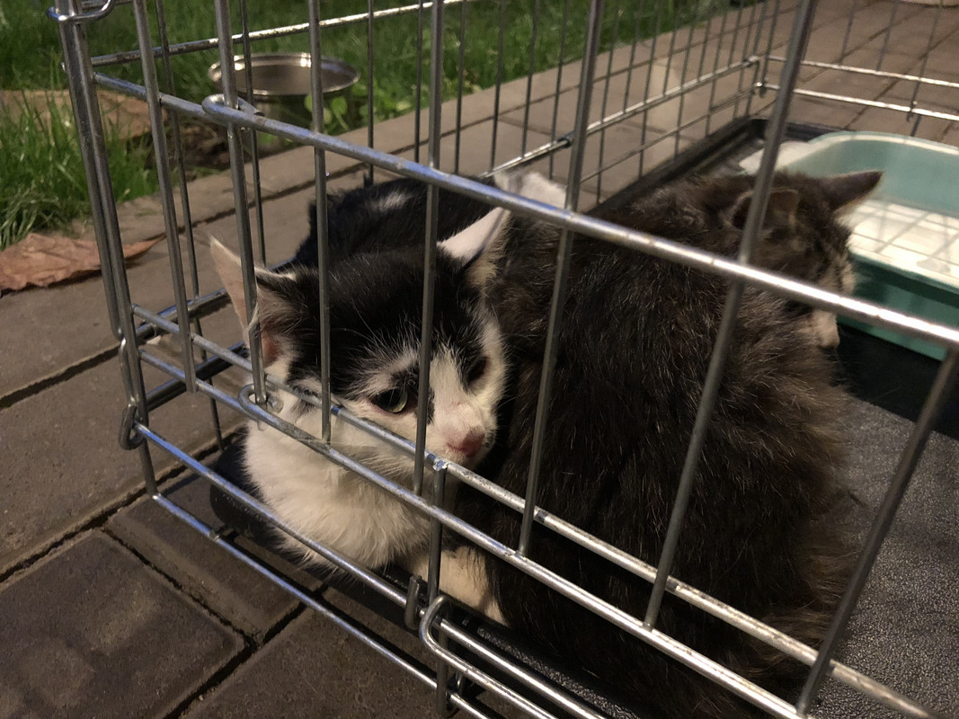 4A442915-8B00-4406-B1B1-602180BFAE9B