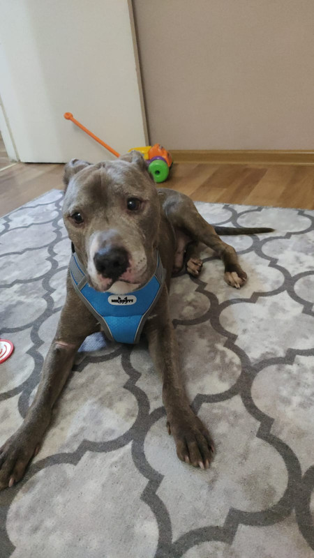 4639FE96-DBB5-4E2C-8C92-2F094FA23039