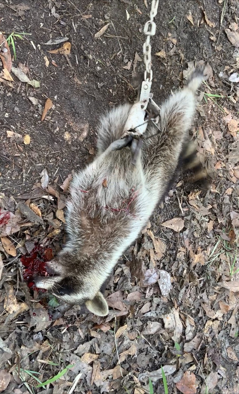 15A1A5F2-133E-4C52-A274-2BF31AA0AD1E