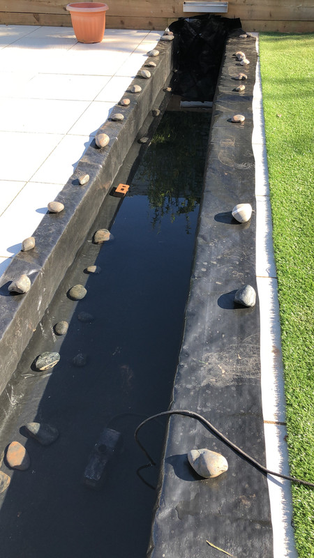 AC146324-6D6D-49DD-86D8-6454002F20CE