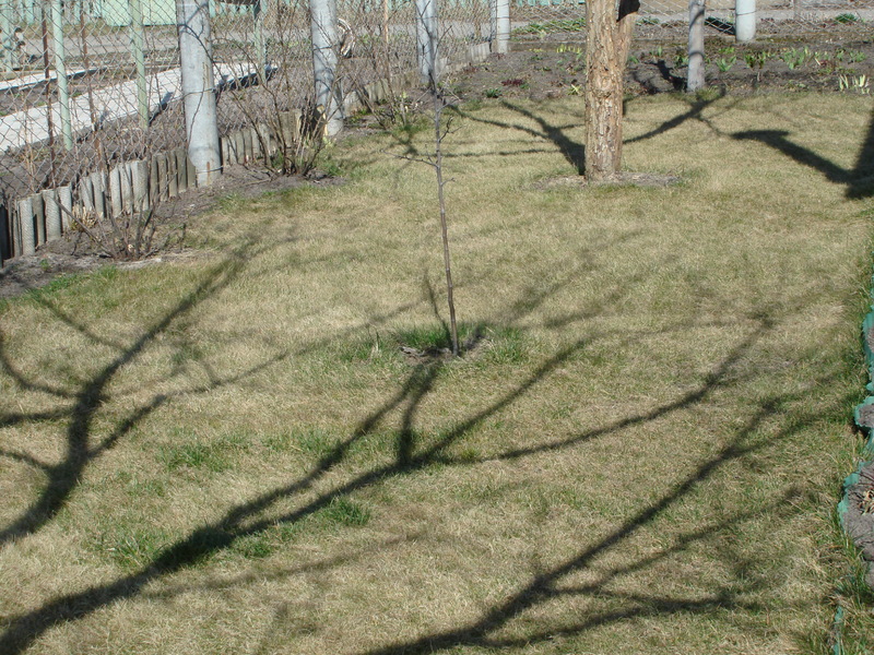 DSC02528