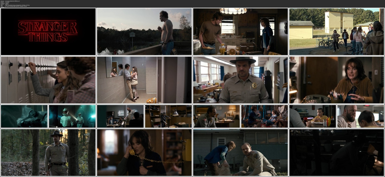 01-Das-Verschwinden-des-Will-Byers-avi.jpg