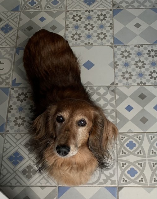 [Image: IMG-6643.jpg]