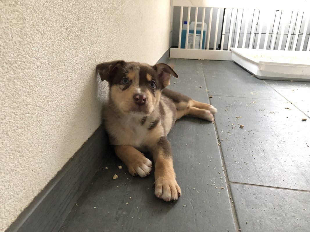 F94EC38B-1A34-448F-9473-590A75E48CAA