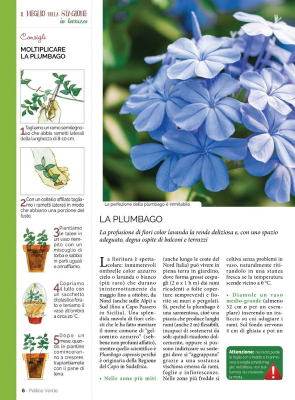 Pol Ver Giu 2022 (1)