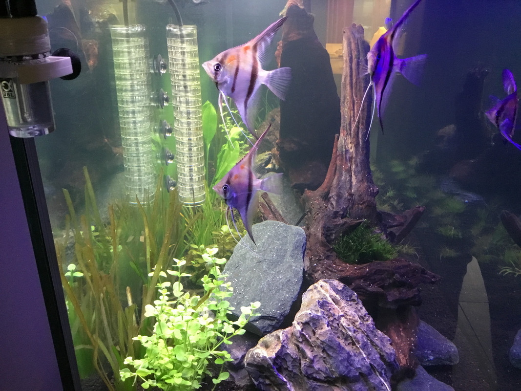 75FFDEB6-CD08-4170-9C42-9D15CA904F17