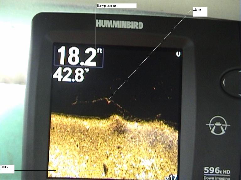 сеть и щука в сети (1)